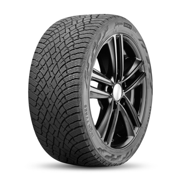 Шины Ikon 255/40 r21 Autograph Snow 5 SUV 102T